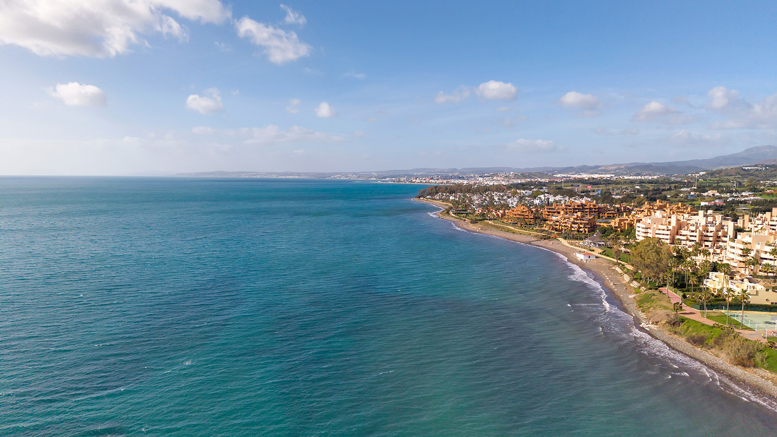 Dolphin Watching Marbella charter